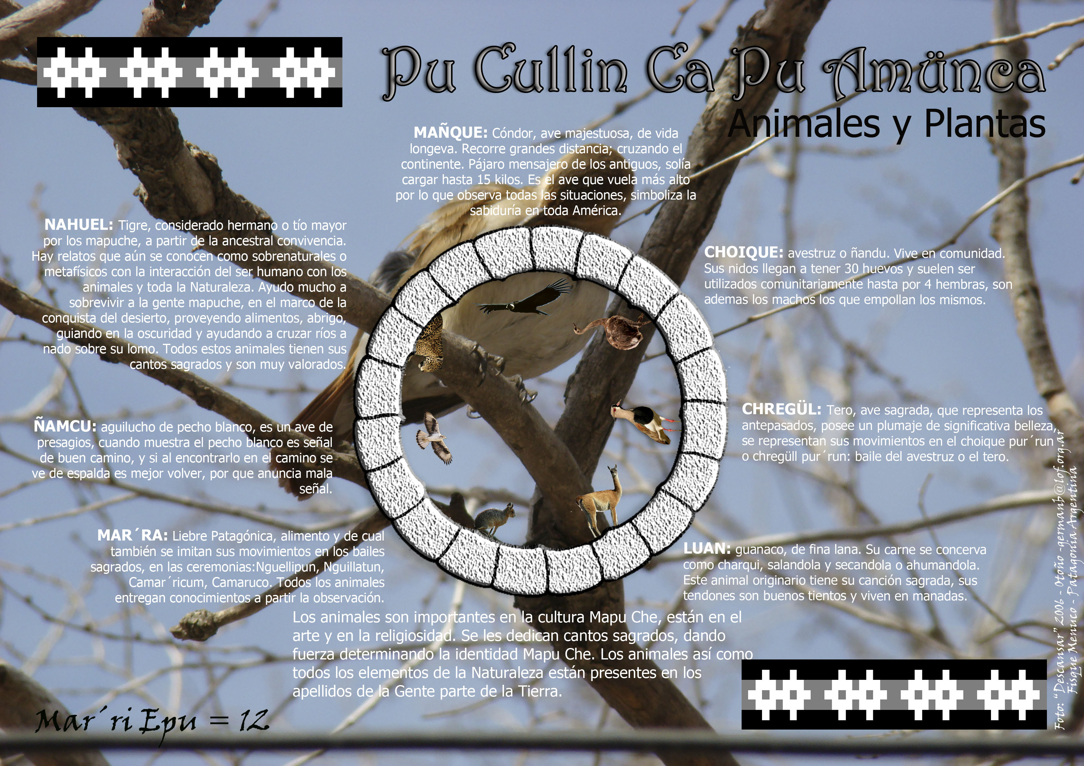 Pu Cullin Ca Pu Amünca