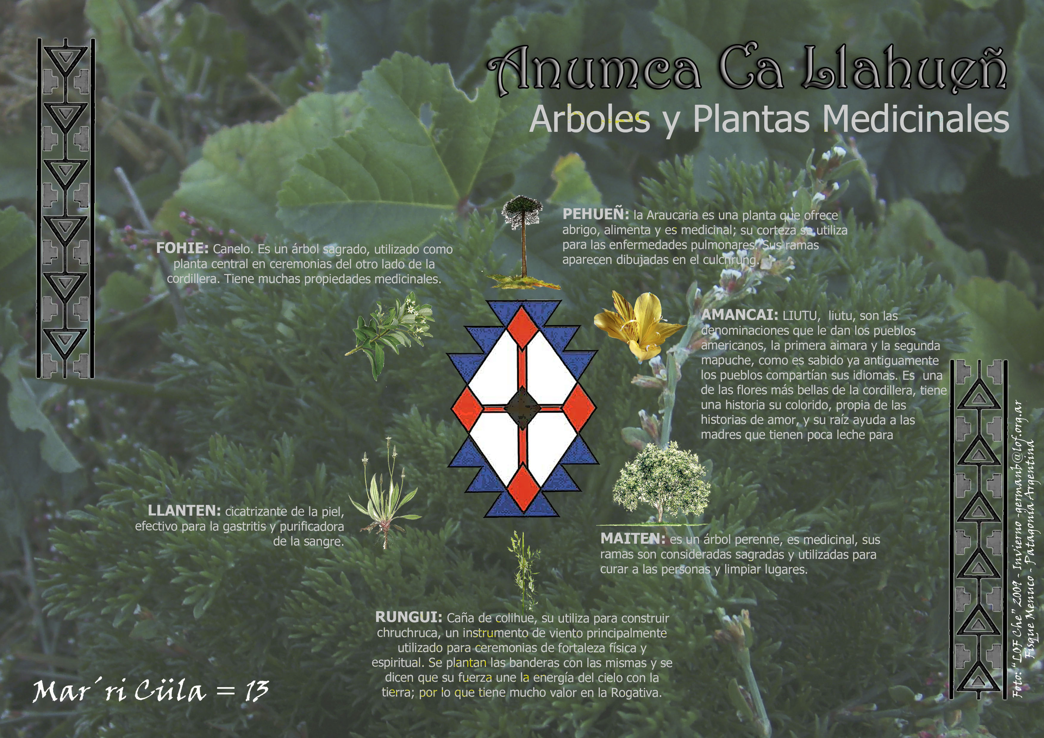 Anumca Ca Llahueñ