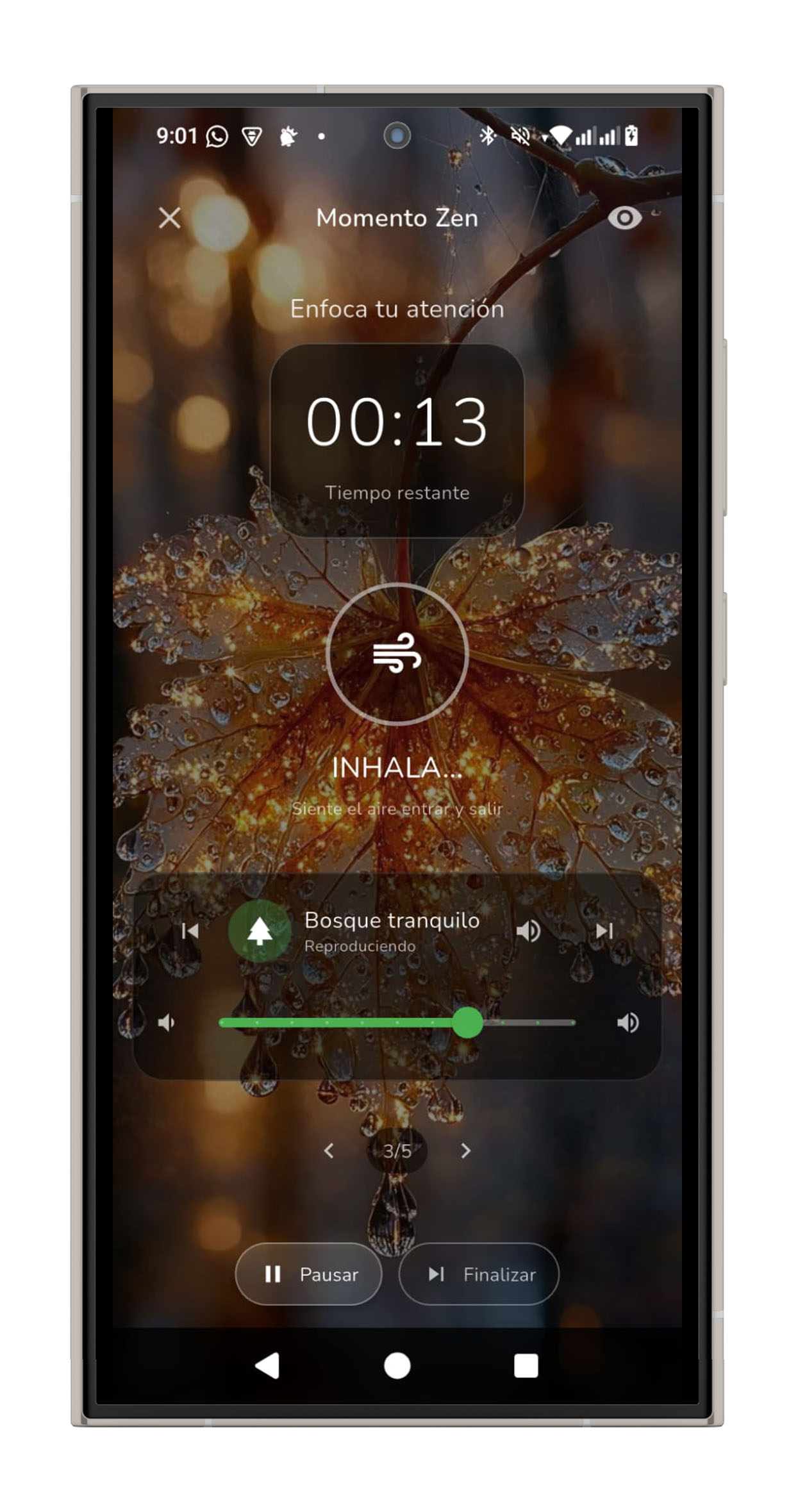 Momento Zen — Respiración guiada